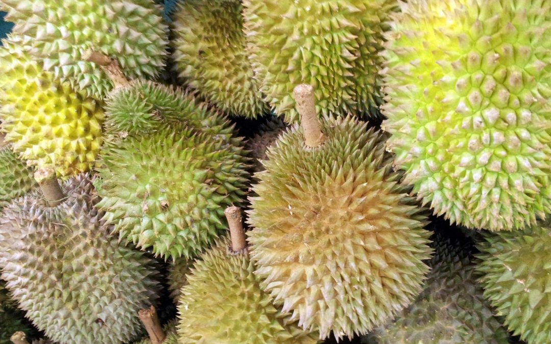 3 benih buah-buahan tempatan yang terjual di eBay.com